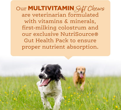 NutriSource AmpliFull Turkey Flavor Multivitamin Soft Chews for Dogs, Daily Supplement with Bovine Colostrum, Essential Vitamins & Minerals for Overall Health, 70 Chews (1 Pack)