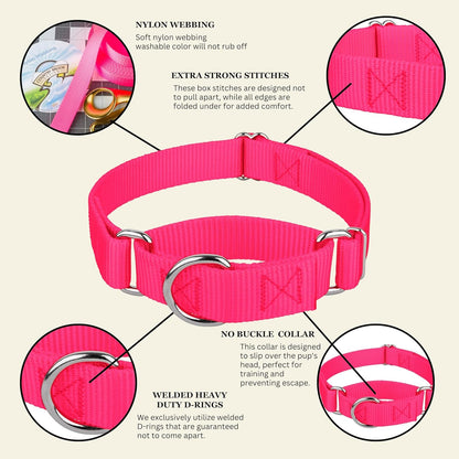 Country Brook Petz - Martingale Dog Collar - Heavy-Duty Training Collar with No Buckle - Service Dog Collar for All Pups - 10+ Warm Colors (Hot Pink, 1 Inch, Medium)