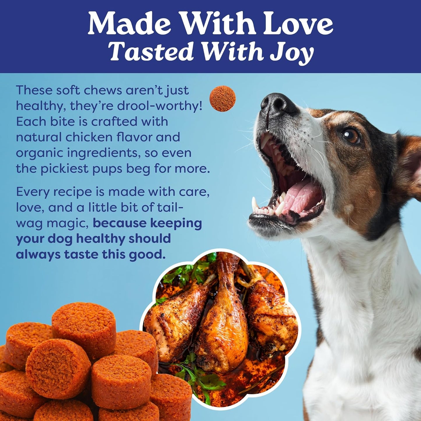 Furrever Young Soft Chews – Senior Dog Healthy Aging Supplement with Antioxidants for Mobility, Immune Health & Cognitive Support – Natural Senilife Alternative (90 Count)