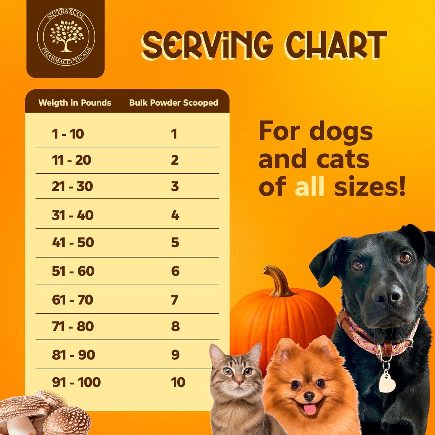 Vitality Pets – Natural Multivitamin Powder for Dogs & Cats with Zeolite clinoptilolite, Pumpkin & Mushroom Blend – Immune & Digestive Support – 100g for All Breeds & Sizes