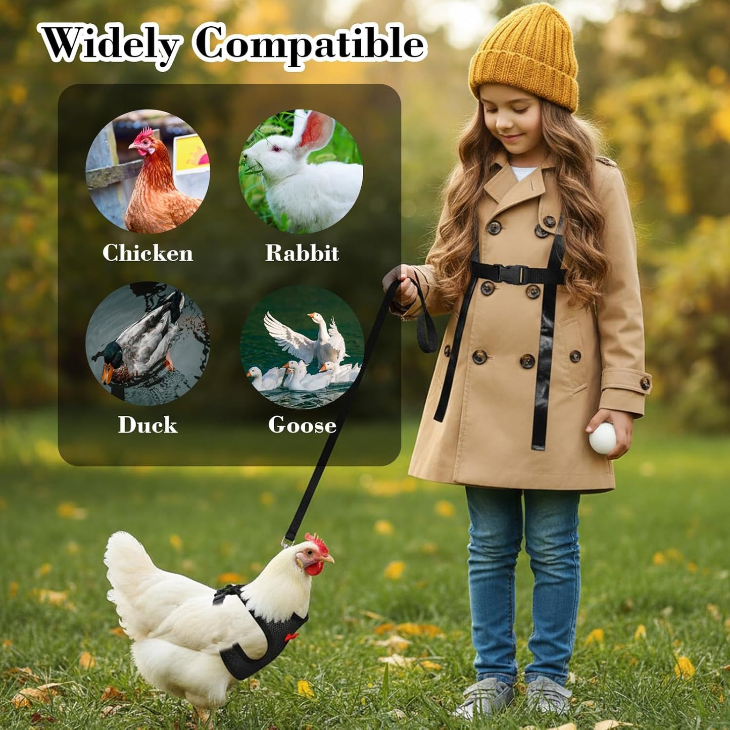 Chicken Harness with Leash Set, Upgraded Double Adjustable Mesh Breathable Chicken Training Harness, Pets Leash for 3-4 Lb Hens Duck Goose Small Pets Training Walking Supplies (Black)
