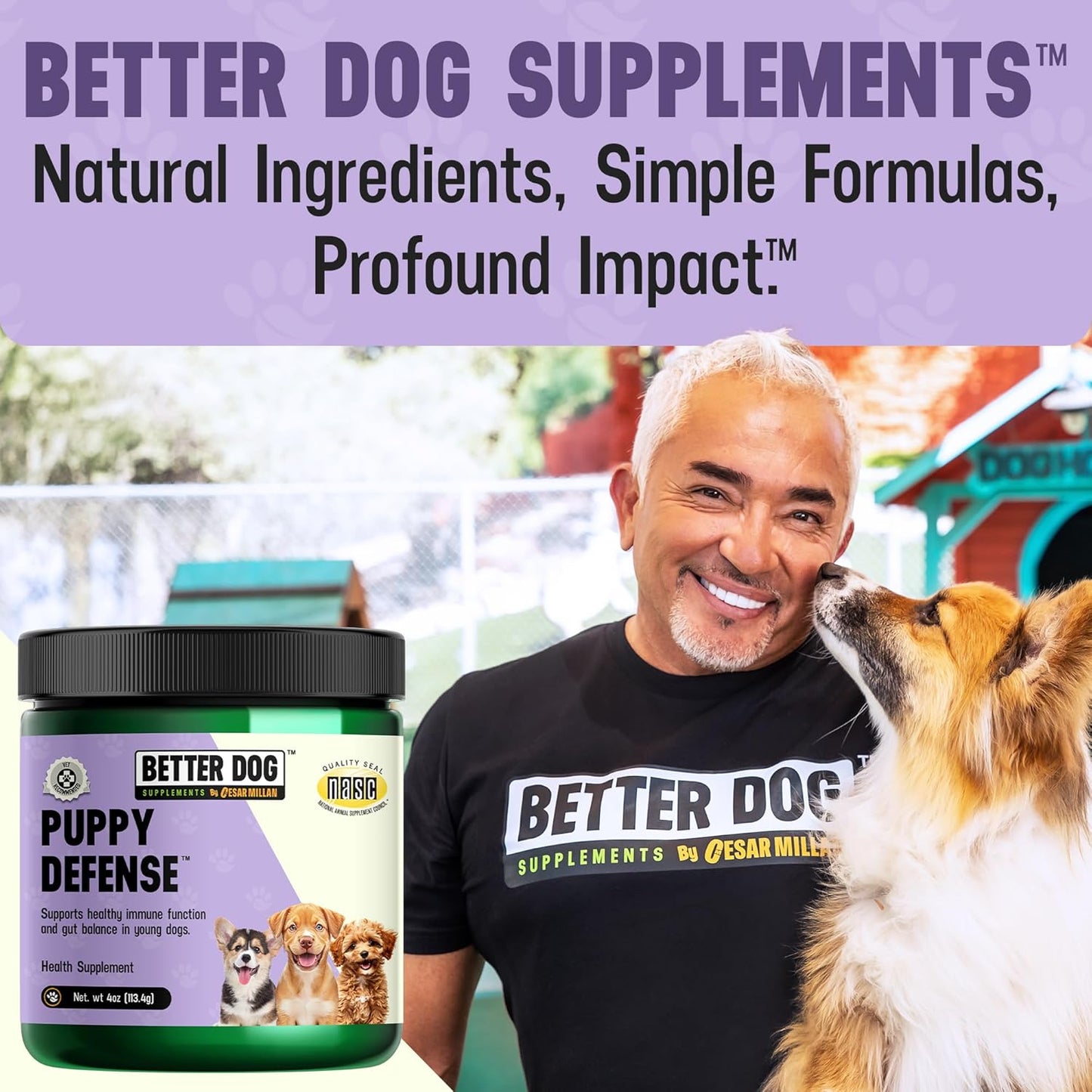 Better Dog Supplements Puppy Defense by Cesar Millan – Natural Immune Support Powder for Young Dogs – Immunity, Gut Balance, Digestive Health & Early Wellness – 4oz, (60-Day Supply)
