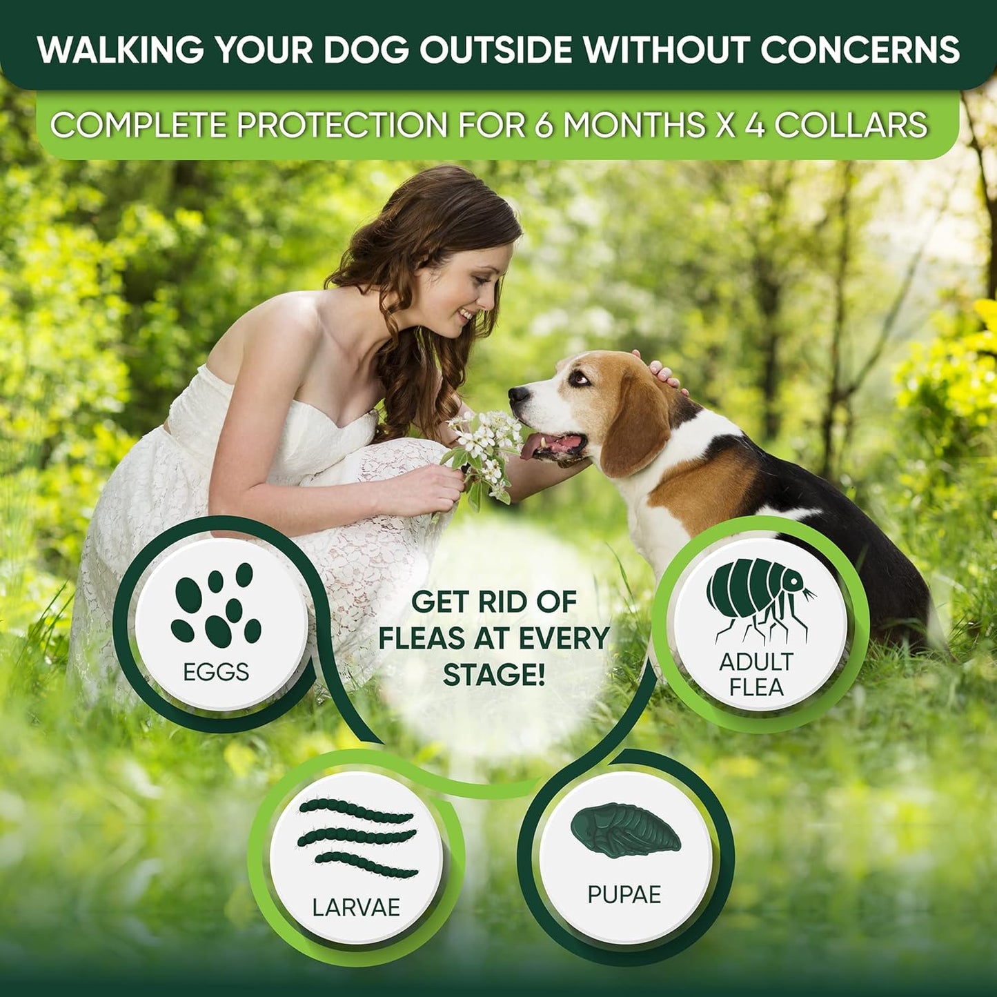 4 Pack Flea and Tick Collar for Dogs, 8-Month Protection, Flea Tick Prevention for Dogs (Gray Collar, 4 Pack)