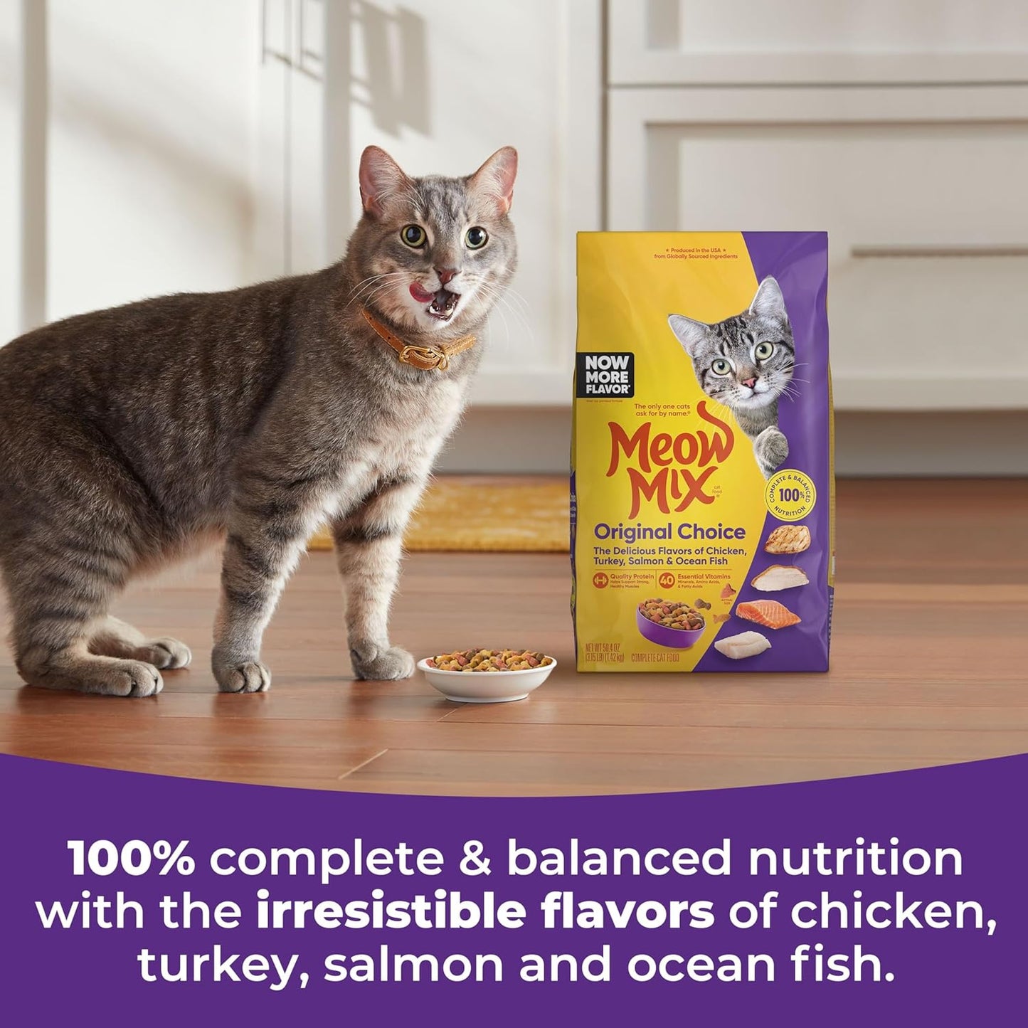 Meow Mix Original Choice Dry Cat Food, 3.15 Pounds