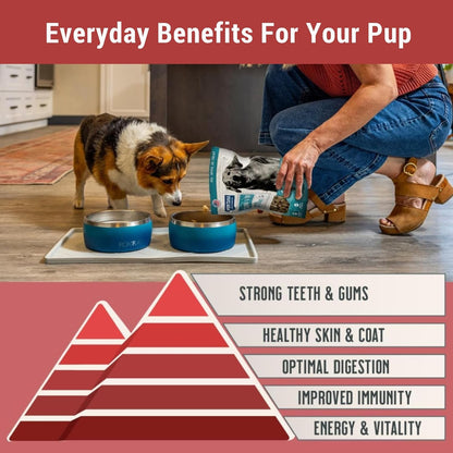 MONTANA DOG FOOD CO. Freeze-Dried Raw Beef Recipe Dog Food – Grain-Free, High-Protein Meal or Topper, Made in USA with USA Ingredients -6.4 oz Bag