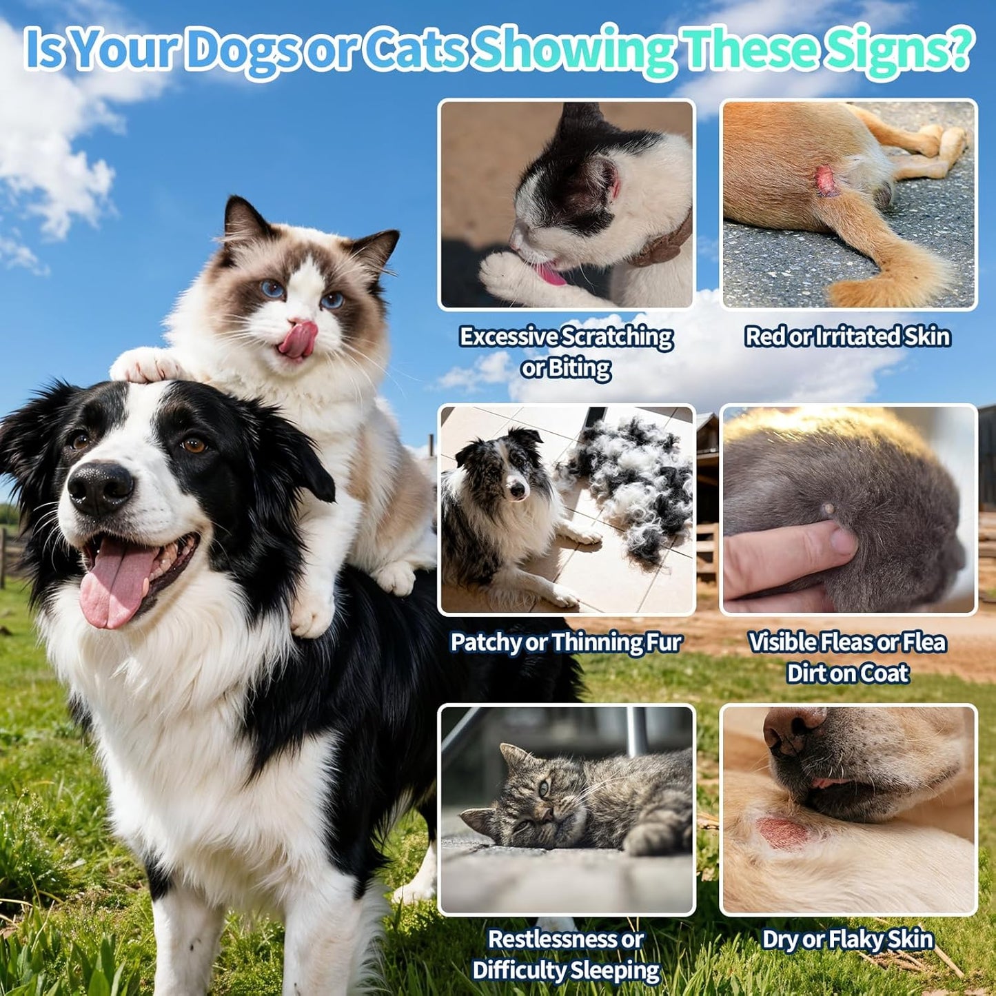 Flea and Tick Prevention for Dog and Cat & Flea and Tick Prevention for Cats Chews, Skin & Coat Support - Fleas & Tick Supplement for Cats & Dogs - Natural Chicken Flavor