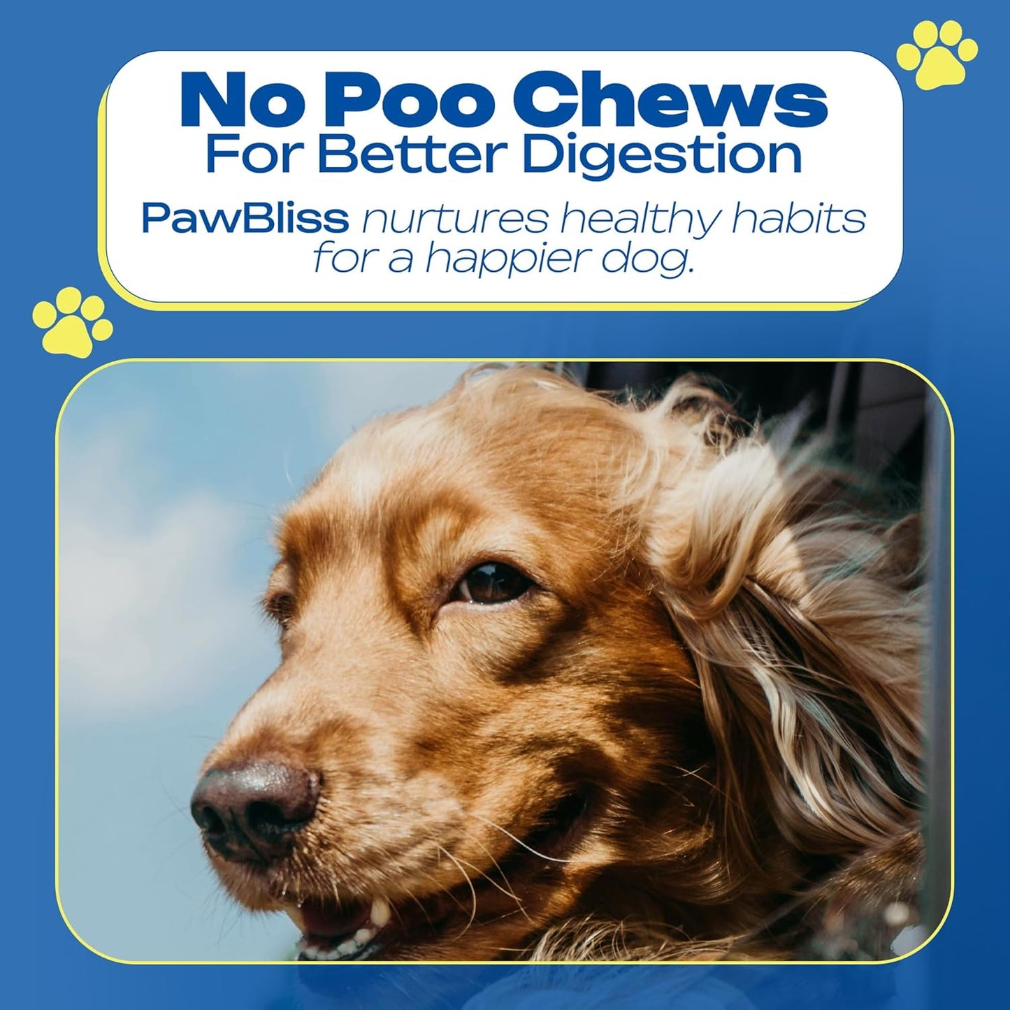 No Poo Chews for Dogs – Stop Stool Eating with Coprophagia Deterrent – Probiotic & Enzyme Soft Chews – Digestive & Breath Support – 120 Bacon-Flavored Chews