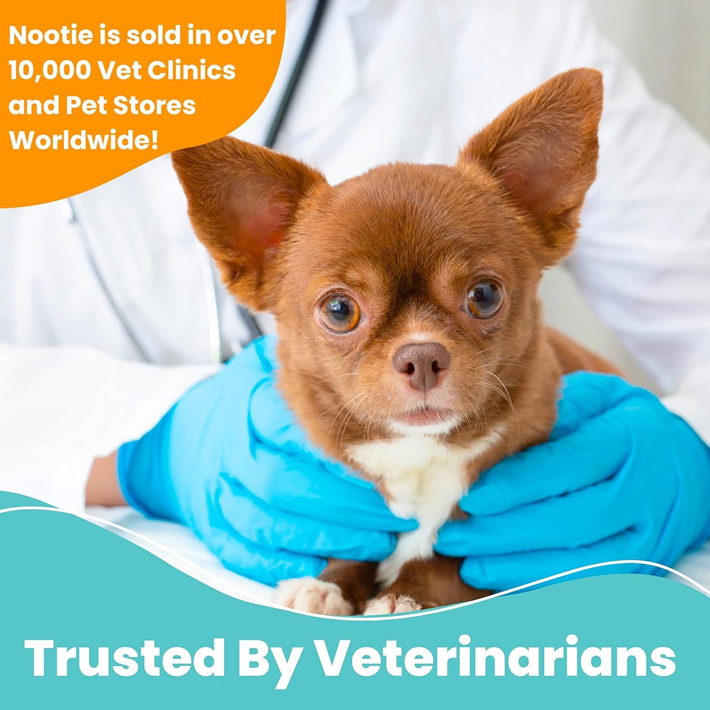 Nootie Medicated Dog Wipes, 2% Chlorhexidine and 2% Miconazole Formulated Pet Wipes for Dogs and Cats - 5"x 6" Size XL Wipes - 70 Count - Sold in Over 10,000 Vet Clinics and Pet Stores Worldwide