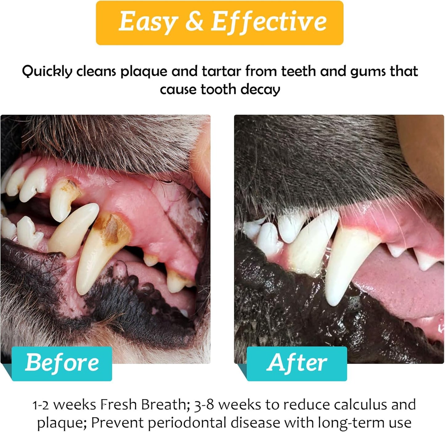 Dog Dental Kit, Dental Powder Contains Probiotics That Solve Bad Breath Through Internal Digestion, Finger Wipes Remove Plaque and Tartar from The Surface (50 Count & 7.05oz)