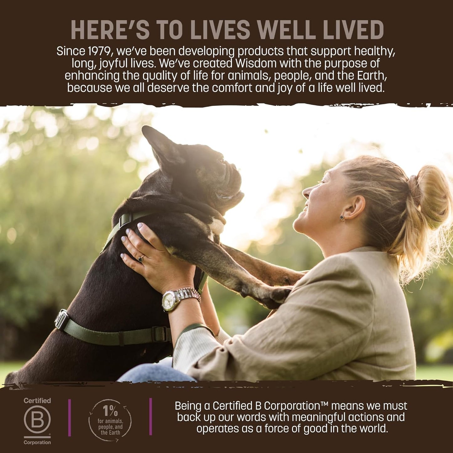 Earth Animal Wisdom Air Dried Dog Food & Jerky Bundle – Turkey Recipe, Premium Natural Dog Food & Treats for All Breeds & Ages - Includes 2 lb Bag + 4 oz Jerky Strips - Made in The USA