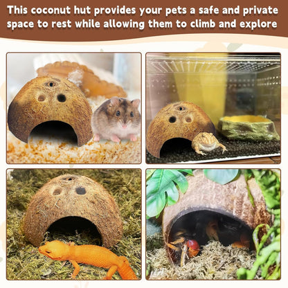 PINVNBY Natural Coconut Reptile Hideouts Lizard, Coco Hut Hermit Crab Hut Aquarium Fish Hide Cave for Small Reptile Crested Gecko Leopard Gecko Spider Snail Climber Toys (6 PCS Natural Surface)