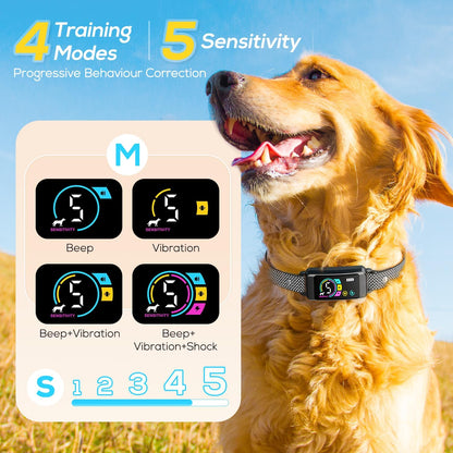 Bark Collar 2 Pack, Dog Bark Collar for Large Medium Small Dogs, Rechargeable Anti Barking Training Collar with Beep Vibration, Smart Collar with 5 Adjustable Sensitivity