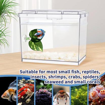 Mini Betta Fish Tank, Small Fish Bowl for Temporary Space, 0.2 Gallon Stackable Cube Tank with Betta Leaf and Gravels for Small Fish, Insect, Shrimp, Crab, Spider.(Pack-1)