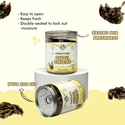 Benji & Louie Freeze Dried Quail Chicks – Whole Prey Treats with Bone, Feather, Feet, Peak – Single Ingredient Snack for Dogs & Cats – (0.88 oz) - 12 Chicks