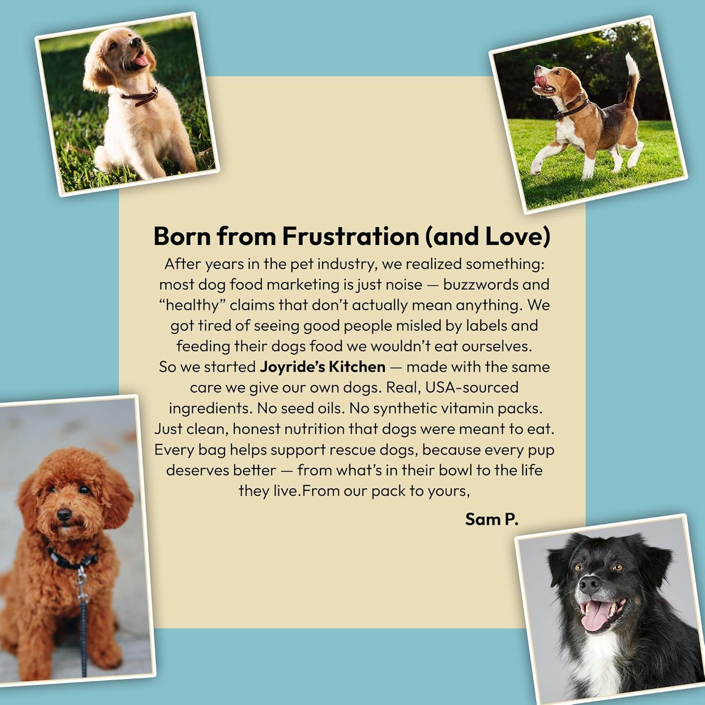 Joyride's Kitchen Freeze-Dried Raw Beef Dog Food – USA Sourced and Made – High-Protein, All-Natural Freeze Dried Meal or Topper, Human Grade - Perfect for Picky Eaters, Veterinarian Formulated