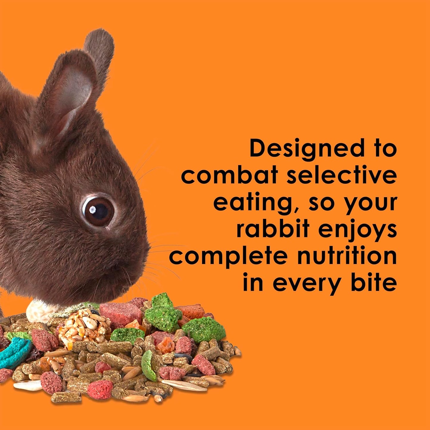 Kaytee Fiesta Rabbit Food, Nutritious and Fun Blend, Supports Dental Health and Digestion, 6.5 pounds