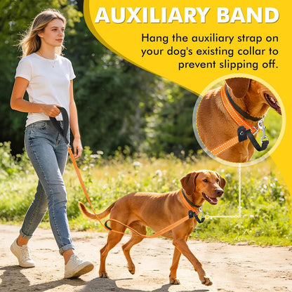 XiaZ Slip Lead Dog Leash, 6 FT Flat Rope Slip Leash with Double Handles and Collar Attachment, No Pull Pet Training Lead with Highly Reflective for Small Medium Large Dogs Orange