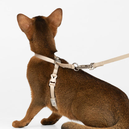 Escape Proof Cat Harness Anti-Choke Quick Release Adjustable QR Code Soft Nylon Durable Lightweight Figure 8 Cat Harness Anti Escape for Kitten Small Medium Large Cats (Blush Pink, M)