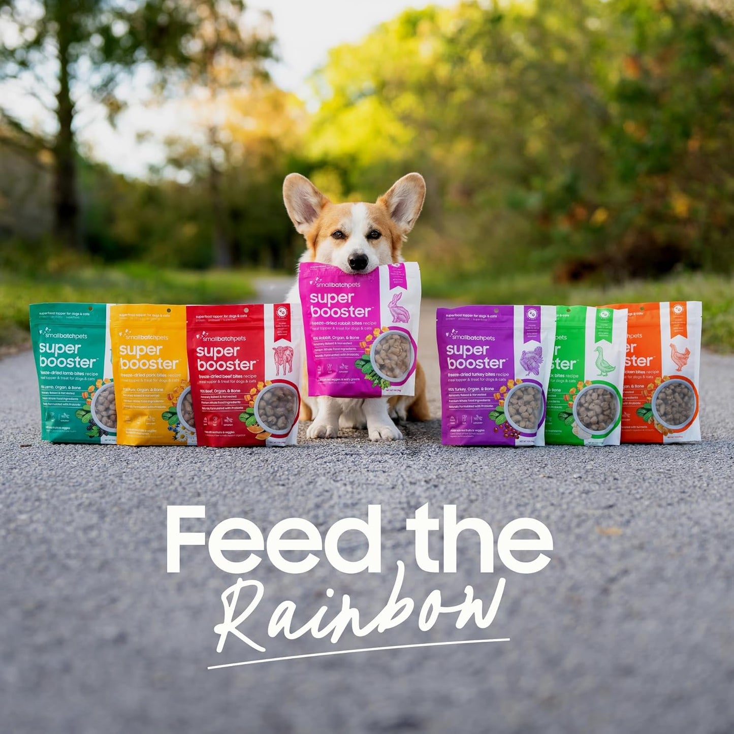 Smallbatch Freeze Dried Dog Treats, Superfood Food Topper Turkey Bites for Dogs & Cats, Probiotics, Organic Ingredients, High Protein, Grain Free Healthy Treat & Food Topper, Made in the USA, 7 oz Bag