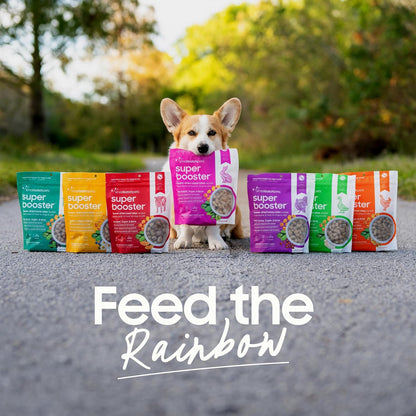 Smallbatch Freeze Dried Dog Treats, Superfood Food Topper Turkey Bites for Dogs & Cats, Probiotics, Organic Ingredients, High Protein, Grain Free Healthy Treat & Food Topper, Made in the USA, 7 oz Bag