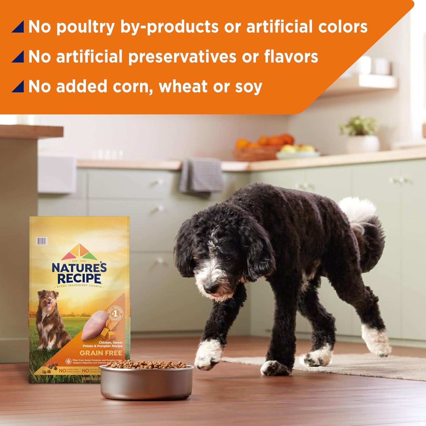 Nature’s Recipe Grain Free Chicken, Sweet Potato & Pumpkin Recipe Dry Dog Food, 24 lb. Bag