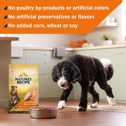 Nature’s Recipe Grain Free Chicken, Sweet Potato & Pumpkin Recipe Dry Dog Food, 24 lb. Bag