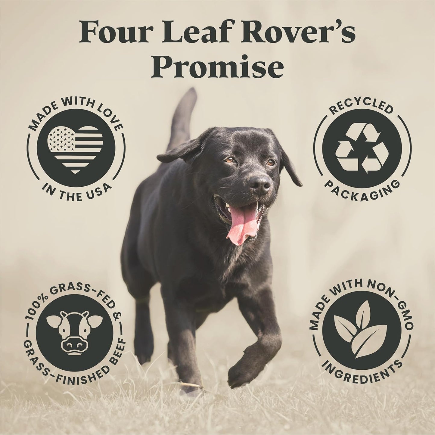 FOUR LEAF ROVER Kibble Fixer - Freeze-Dried Dog Food Topper with Dog Probiotics and Digestive Enzymes - Supports Healthy Digestion and Immune Systems