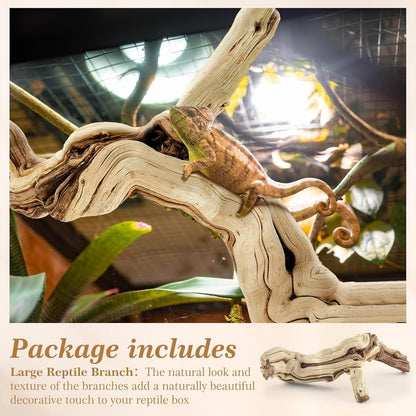 Janinka 14-17" Length Large Wood Reptile Branch for Bearded Dragon Driftwood Reptile Climbing Habitat Decoration for Terrarium Tree Trunk Ornament Gecko Frog Chameleon Spider