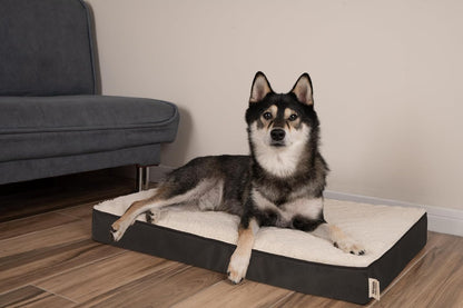 Best Pet Supplies Soft Plush Cute Indoor Dog Bed for Small, Medium, and Large Breeds - Brown, 30x20x3