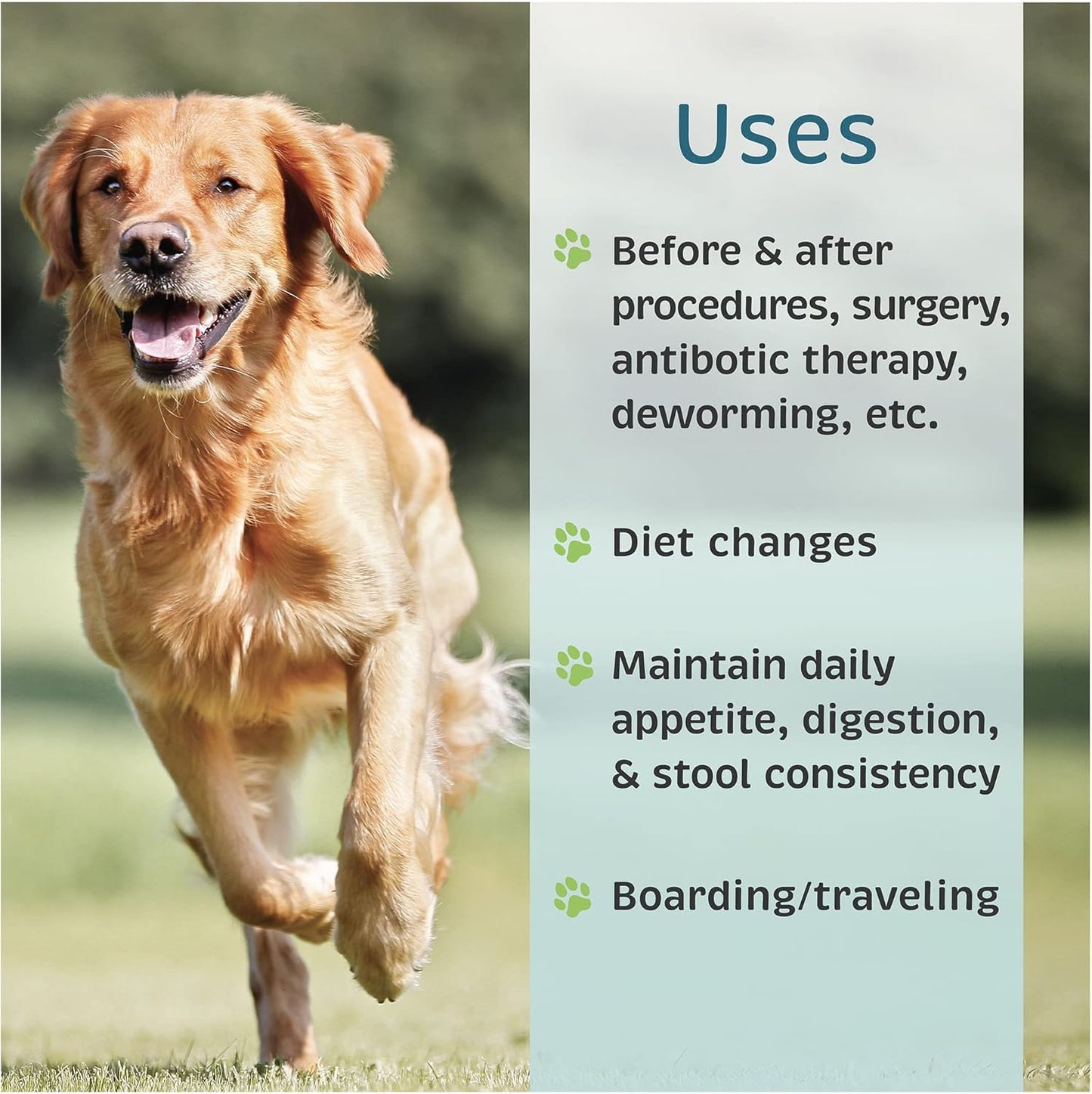 VetOne Advita Probiotic Nutritional Supplement for Dogs - 30 Packets