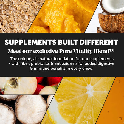 Pet Honesty Dog Allergy & Itch Relief - Advanced Itch Supplement with Probiotics for Dogs - Immune Support & Skin Relief for Seasonal Allergies - Natural Itchy Skin & Paw Relief - (Salmon, 90 Ct)