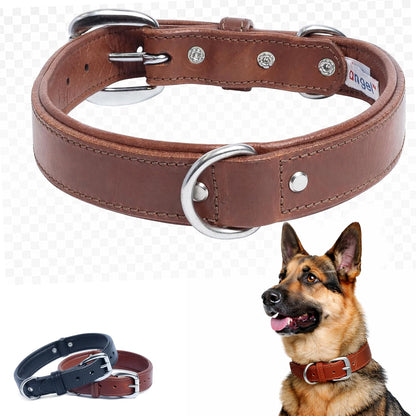 Genuine Top Grain Leather Padded Dog Collar | Handmade | Super Soft & Strong | Western Tooled Dog Collar | Brass & Stainless Steel Hardware | Dallas Collection by Angel Pet Supplies