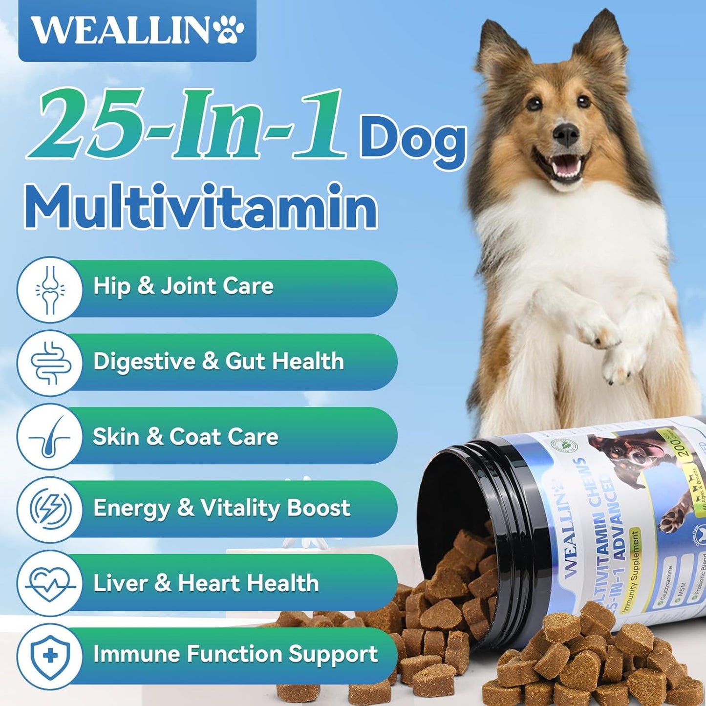 Dog Vitamins - 25-in-1 Dog Vitamins and Supplements Multivitamin with Glucosamine Probiotics Omega-3 Puppy Multivitamin Chewable for Coat, Heart, HIPS & Joints, Digestion & Immune System 200pcs