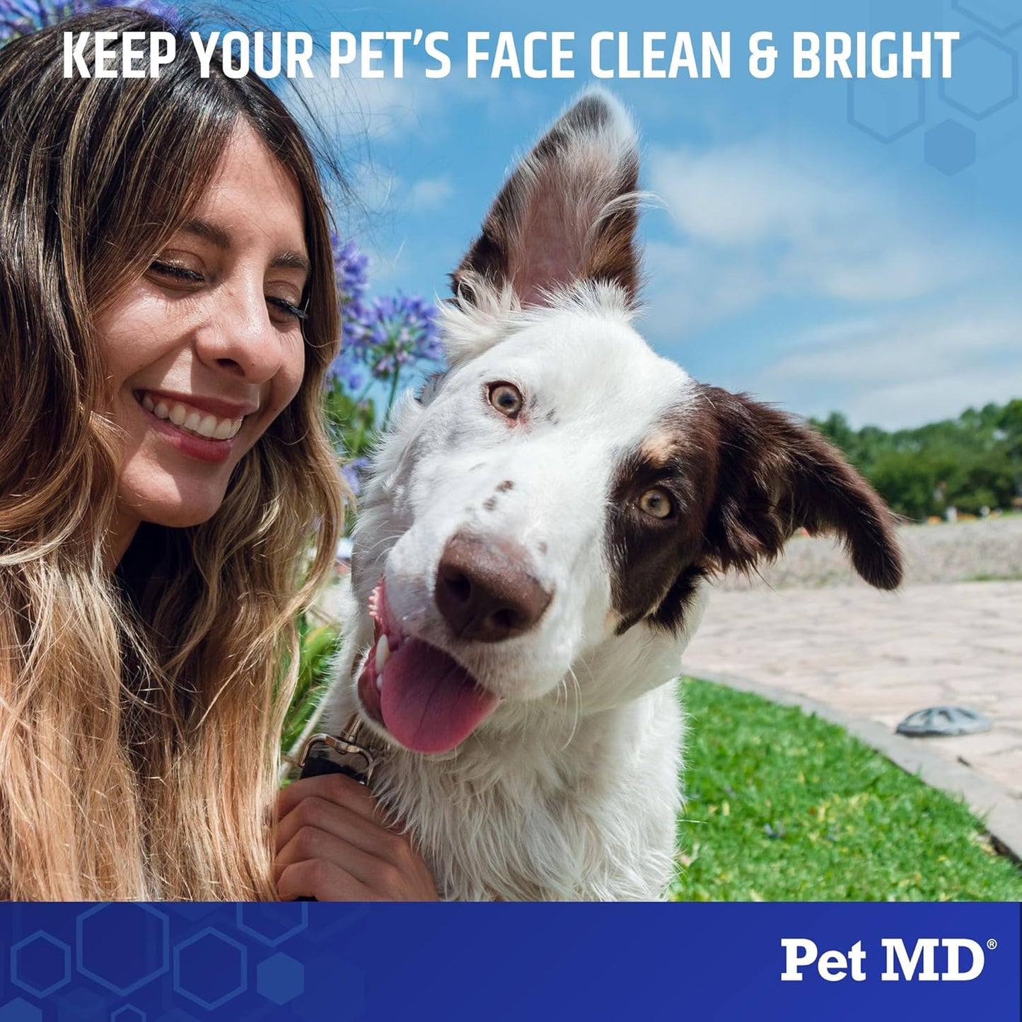 Pet MD Dog Tear Stain Remover Wipes - Cat and Dog Eye Wipes for Discharge and Crust - Pet Eye Wipes for Dogs - 60 ct