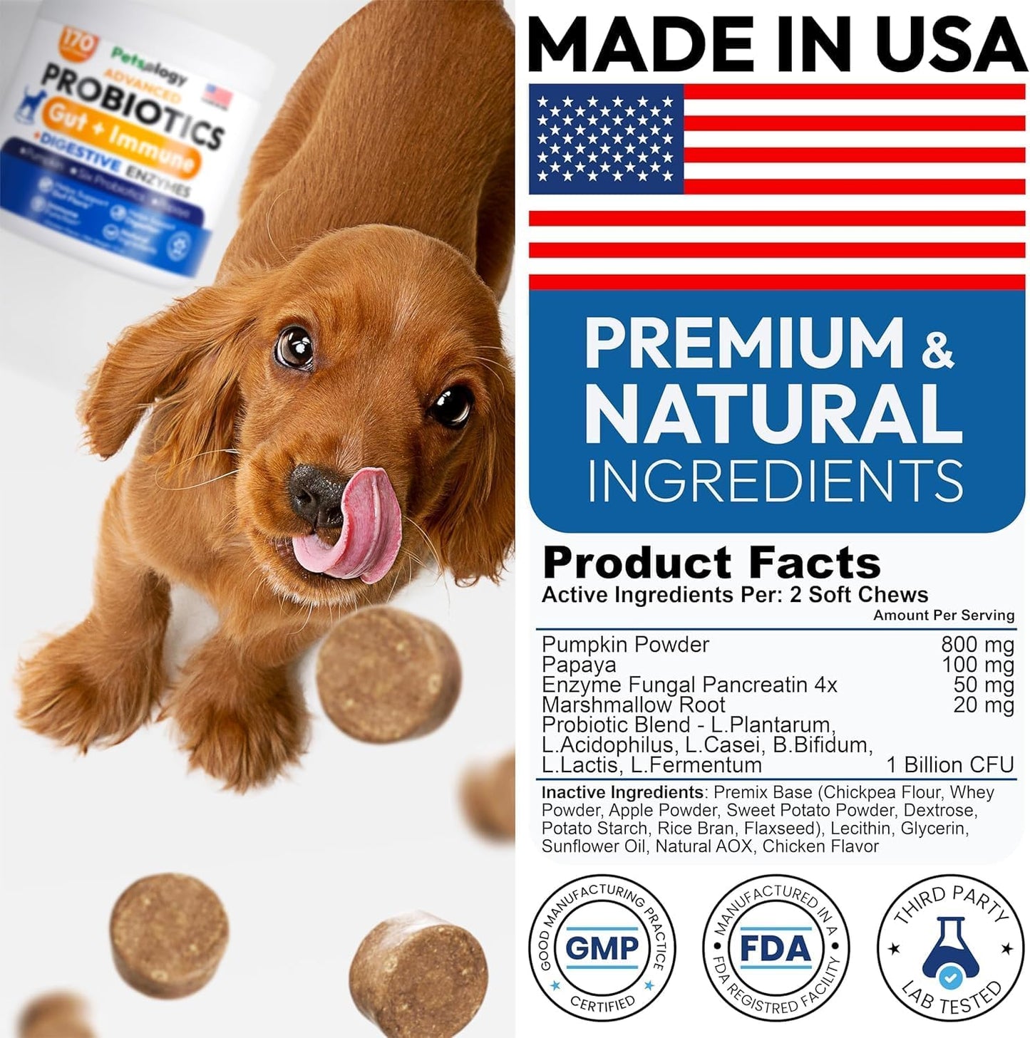 (2 Pack) Probiotics for Dogs - 340 Dog Probiotics Chews - Digestive Enzymes & Prebiotics - Support Gut Health, Diarrhea, Gas & Constipation Relief - Itchy Skin, Allergies - Advanced Supplement