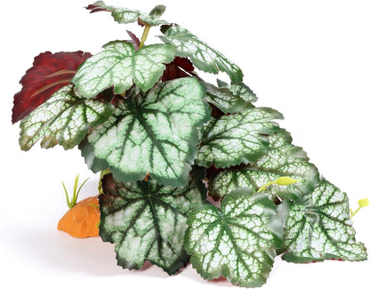 Reptile Plants for Terrarium, Amphibian Habitat Decor Plant, Bearded Dragon Tank Decorations, Artificial Plants for Gecko Lizard Chameleon Tortoise Ball Python Snake with Base - Fake Saxifrage