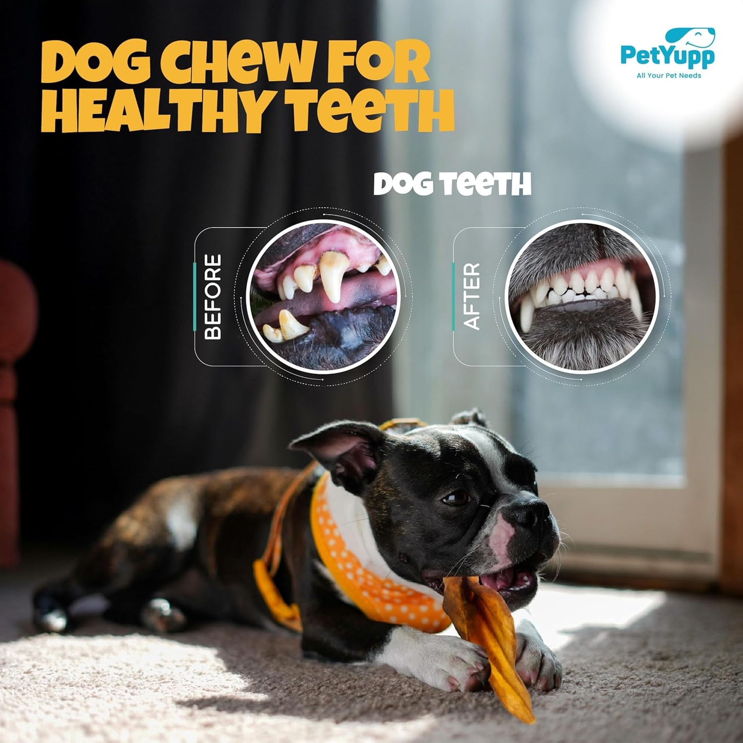 Water Buffalo Ears for Dogs 20 Count - All Natural, Single Ingredient & Long-Lasting Beef Ears for Small, Medium & Large Dogs - Promotes Dental Health & Rawhide Free Dog Treats