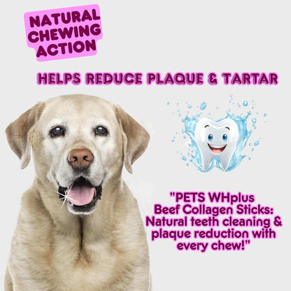 Pets WH Plus-Premium High Collagen Beef Dog Chews, 100% Natural, Single Ingredient, Grass-Fed Beef, 6” Sticks, 5 Count | Long-Lasting, Grain-Free, Rawhide-Free, Supports Joint Mobility & Dental Health