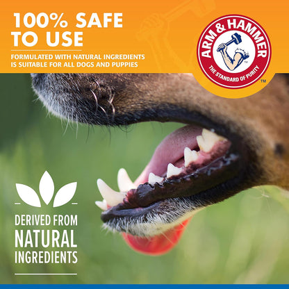 Arm & Hammer for Pets Combo Pack Dental Tartar Control Water Additive and Fresh Breath Vanilla Ginger Enzymatic Toothpaste | Includes 16 Oz Water Additive and 2.5 oz Dog Toothpaste