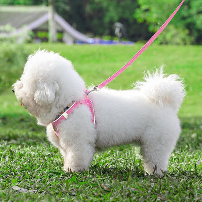 Hipubby Dog Harness Small Sized and Leash Set, No Pull Soft Mesh Puppy Vest, Reflective Breathable Lightweight Pet Harness, Harness for Small Medium Dogs and Cats, Pink XS