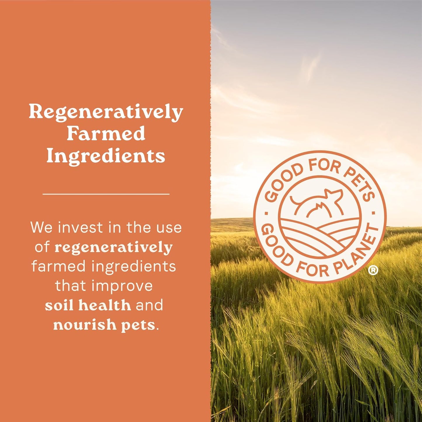 Canidae All Life Stages High Protein Dry Dog Food, Multi-Protein Recipe, 4 lbs.