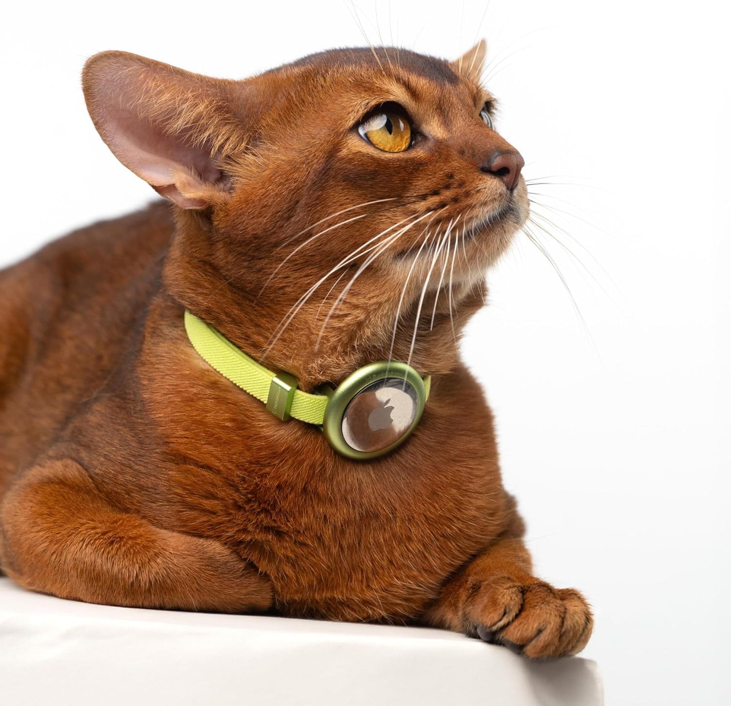 Safety Cat Collar Pro Airtag Holder Set, US IDA Gold Award Cat Collar with Snap, Non Breakaway Elastic Release Cat Airtag Collar Airtag Case for Small Medium Large Cats (Glacier Silver, S)