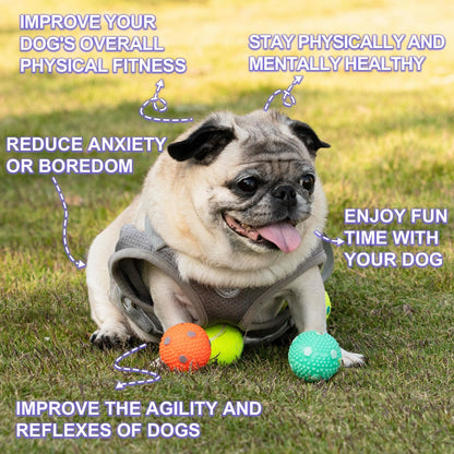 Dog Balls 12 Pcak, 9 Latex Balls and 3 Tennis Balls for Small Dogs and Puppies for Automatic Dog Ball Launcher(2 Inches)