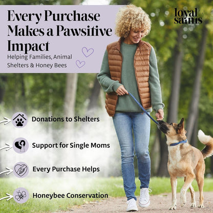 Freeze Dried Raw Dog Food - Premium Chicken Flavor with High Protein & Grain Free Dog Food for Small or Large Breeds and Picky Eaters - Versatile as Meal Topper, Pet Snack & Treats, 5 Oz