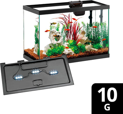 Aqueon Aquarium Starter Kit with Smart Clean Filtration and LED Lighting, Freshwater and Saltwater Fish, Perfect for Tetras, Guppies, Platies, 10-Gallon