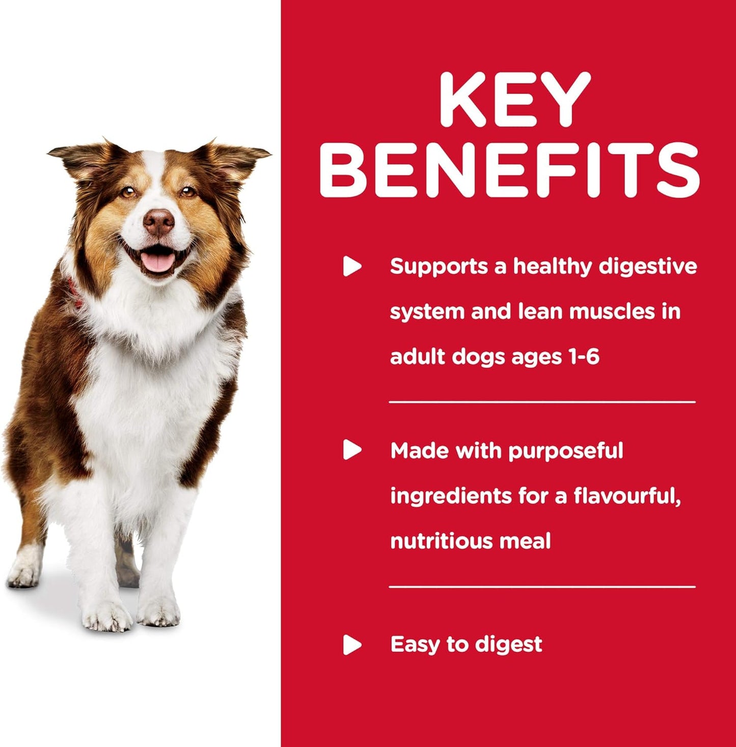 Hill's Science Diet Healthy Cuisine, Adult 1-6, Great Taste, Wet Dog Food, Braised Beef, Carrots & Peas Stew, 12.5 oz Can, Case of 12