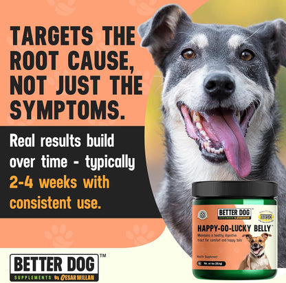 Better Dog Supplements Happy-Go-Lucky Belly by Cesar Millan – Natural Digestive Support Powder for Dogs – Upset Stomach Relief, Gut Balance & Regularity with Herbal Fiber Blend – 4oz (60-Day Supply)