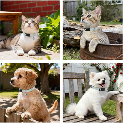 Cute Animals Owls Blue Print Dog Collar with Buckle Adjustable 2 Pack Quick Release Pet Collar for Small Dogs Cats