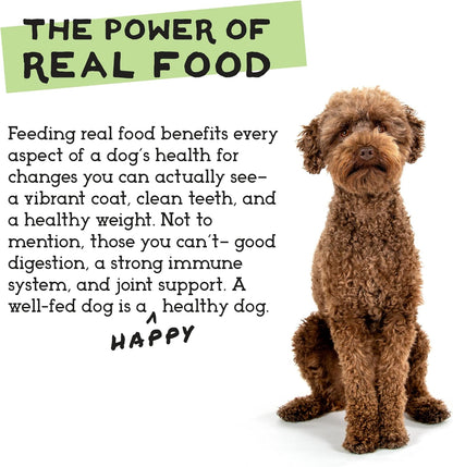 Simple Food Project The Freeze Dried Raw Dog Food Topper Featuring Organic Human Grade Ingredients [6 Pack Variety - 1oz Samples Bison, Duck, Lamb, Beef/Salmon, Duck/Trout, and Chicken/Turkey] …