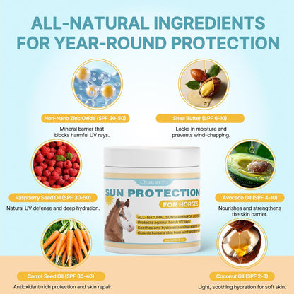 Horse Sunscreen for Nose & Sensitive Pink Skin – Natural Sunscreen for Horses with Non-Nano Zinc Oxide – Protects Against Sunburn, Windburn & Dryness – Safe, Long-Lasting Sunblock for All Seasons,8 oz